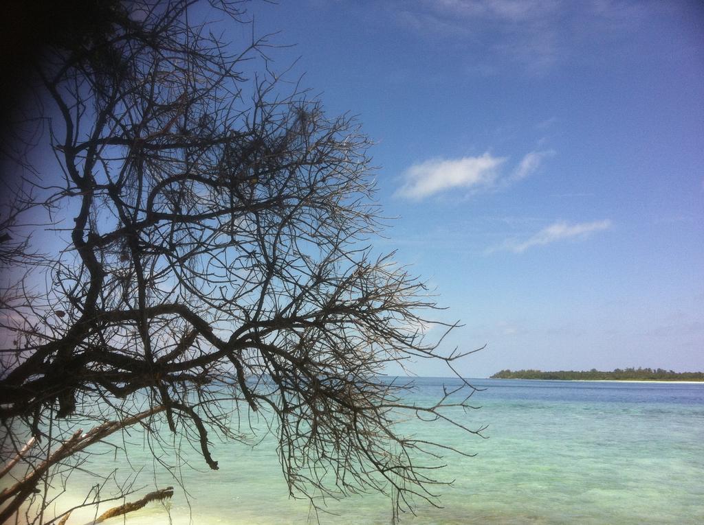 Mulah Surf Camp Hotel Muli Exterior photo